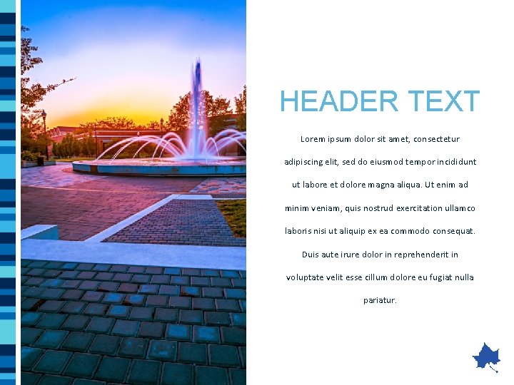 HEADER TEXT Lorem ipsum dolor sit amet, consectetur adipiscing elit, sed do eiusmod tempor