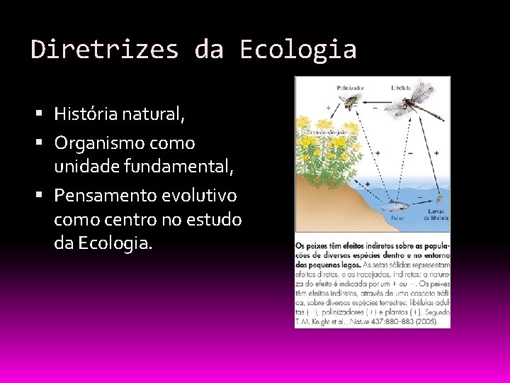 Diretrizes da Ecologia História natural, Organismo como unidade fundamental, Pensamento evolutivo como centro no