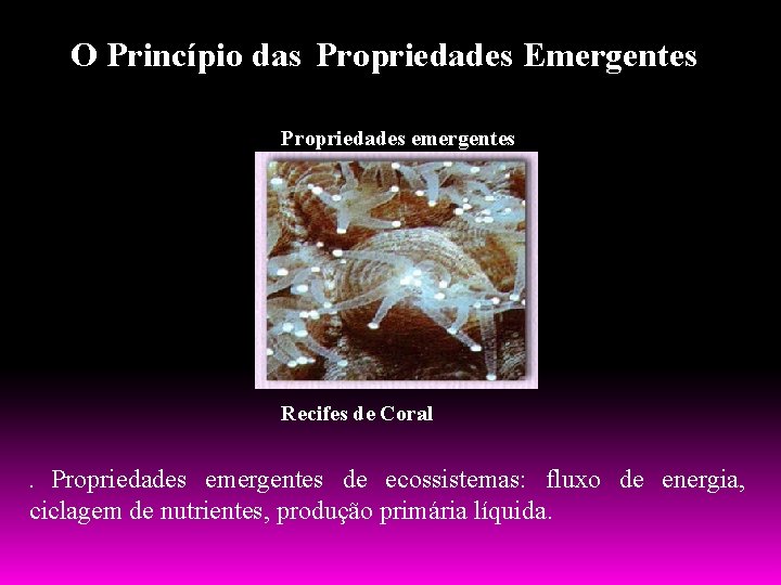 O Princípio das Propriedades Emergentes Propriedades emergentes Recifes de Coral Propriedades emergentes de ecossistemas: