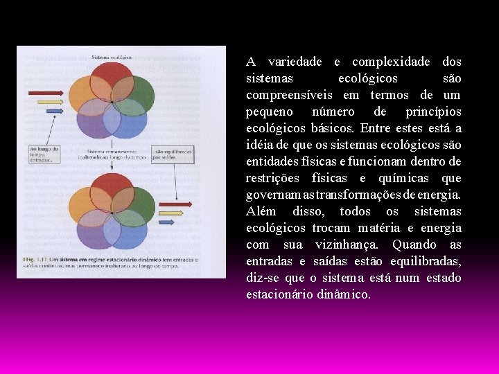 A variedade e complexidade dos sistemas ecológicos são compreensíveis em termos de um pequeno