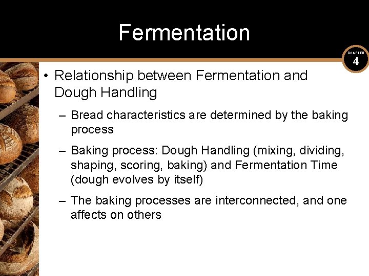 Fermentation CHAPTER • Relationship between Fermentation and Dough Handling – Bread characteristics are determined