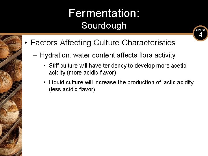 Fermentation: Sourdough • Factors Affecting Culture Characteristics – Hydration: water content affects flora activity Fermentation: Sourdough • Factors Affecting Culture Characteristics – Hydration: water content affects flora activity