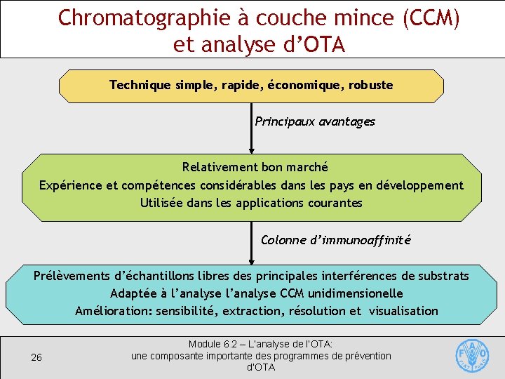 Chromatographie à couche mince (CCM) et analyse d’OTA Technique simple, rapide, économique, robuste Principaux