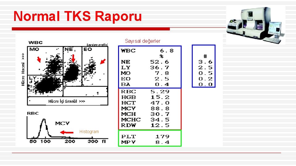 Normal TKS Raporu Hücre Hacmi >>> Saçılım grafisi Hücre İçi Granül >>> Histogram Sayısal