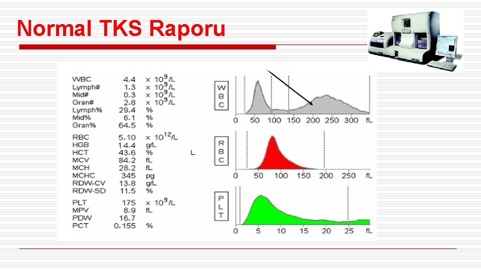 Normal TKS Raporu 