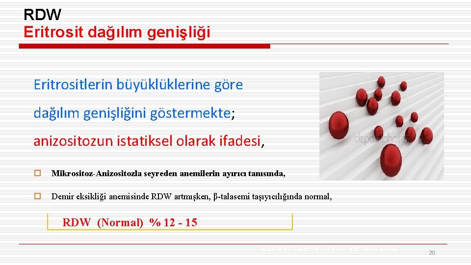RDW Eritrosit dağılım genişliği Eritrositlerin büyüklüklerine göre dağılım genişliğini göstermekte; anizositozun istatiksel olarak ifadesi,