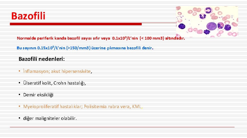 Bazofili Normalde periferik kanda bazofil sayısı sıfır veya 0. 1 x 109/L’nin (< 100
