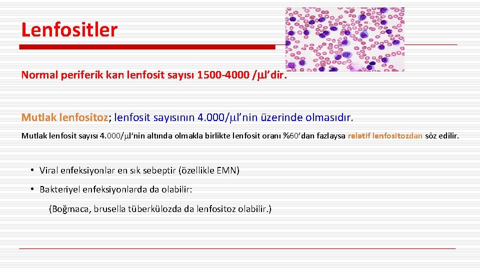 Lenfositler Normal periferik kan lenfosit sayısı 1500 -4000 / l’dir. Mutlak lenfositoz; lenfosit sayısının