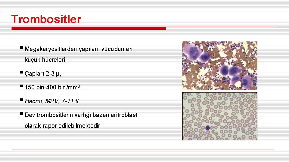 Trombositler § Megakaryositlerden yapılan, vücudun en küçük hücreleri, § Çapları 2 -3 µ, §