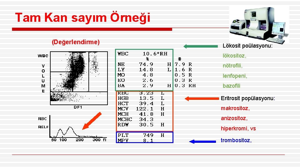 Tam Kan sayım Örneği (Değerlendirme) Lökosit poülasyonu: lökositoz, nötrofili, lenfopeni, bazofili Eritrosit popülasyonu: makrositoz,
