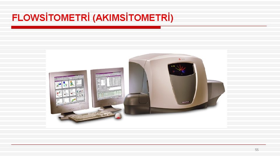 FLOWSİTOMETRİ (AKIMSİTOMETRİ) 55 