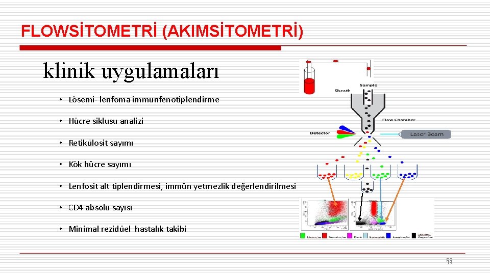 FLOWSİTOMETRİ (AKIMSİTOMETRİ) klinik uygulamaları • Lösemi- lenfoma immunfenotiplendirme • Hücre siklusu analizi • Retikülosit