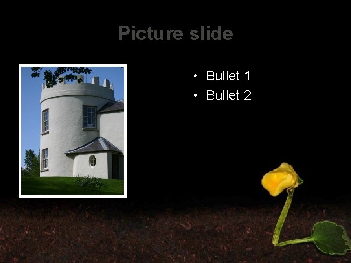 Picture slide • Bullet 1 • Bullet 2 