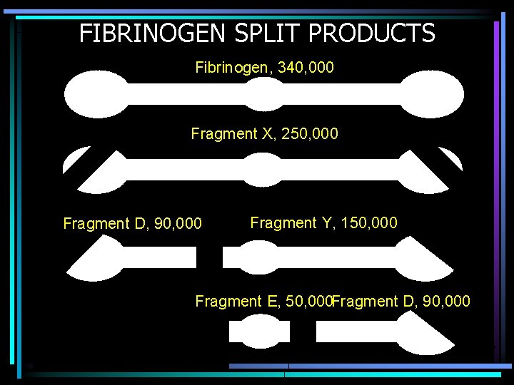 FIBRINOGEN SPLIT PRODUCTS Fibrinogen, 340, 000 Fragment X, 250, 000 Fragment D, 90, 000