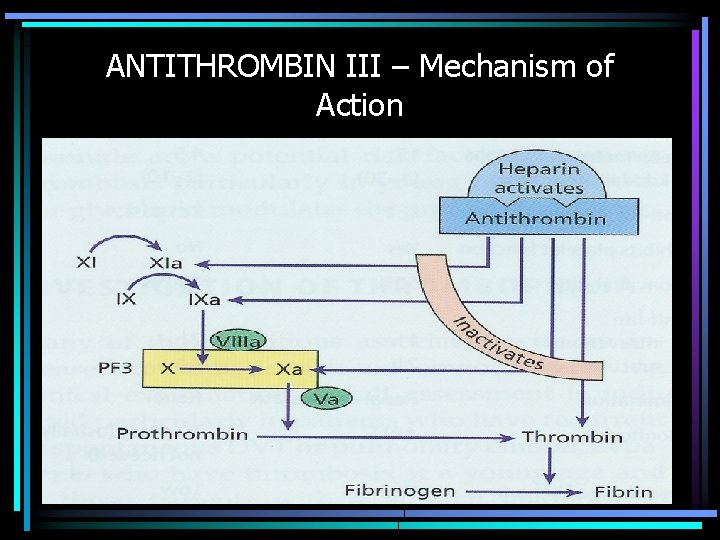 ANTITHROMBIN III – Mechanism of Action 