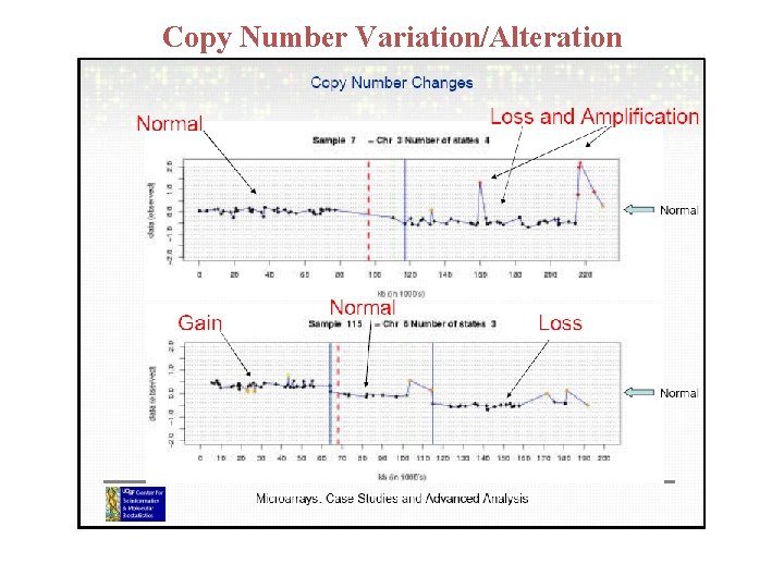 Copy Number Variation/Alteration Copy Number Variation/Alteration