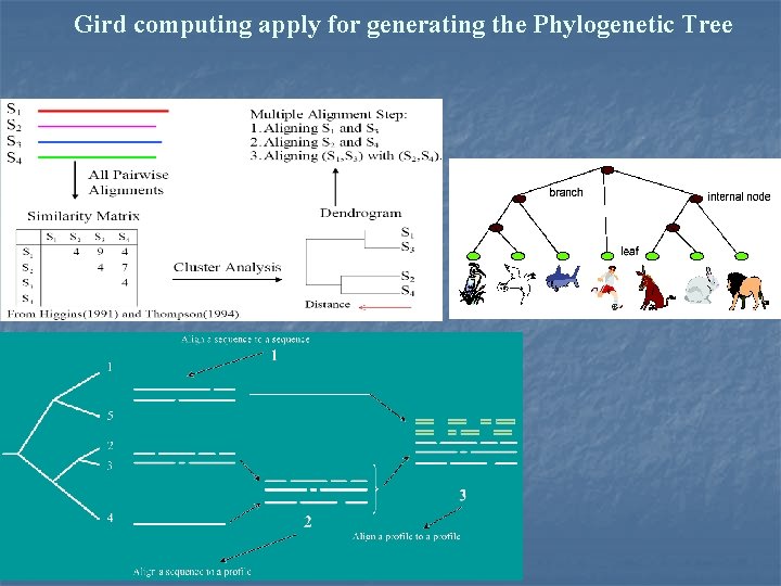 Gird computing apply for generating the Phylogenetic Tree 
