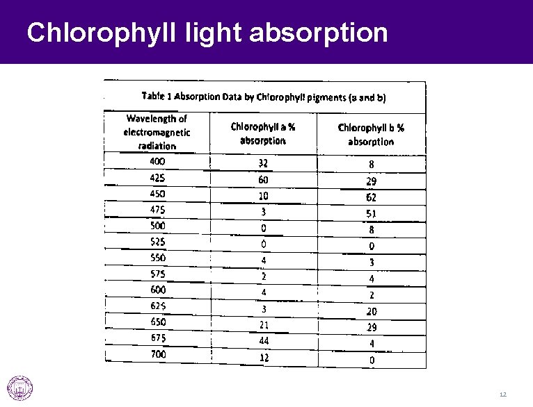Chlorophyll light absorption 12 