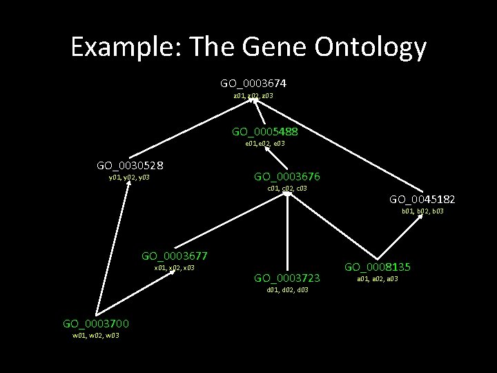 Example: The Gene Ontology GO_0003674 z 01, z 02, z 03 GO_0005488 e 01,