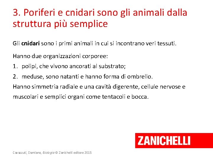 3. Poriferi e cnidari sono gli animali dalla struttura più semplice Gli cnidari sono