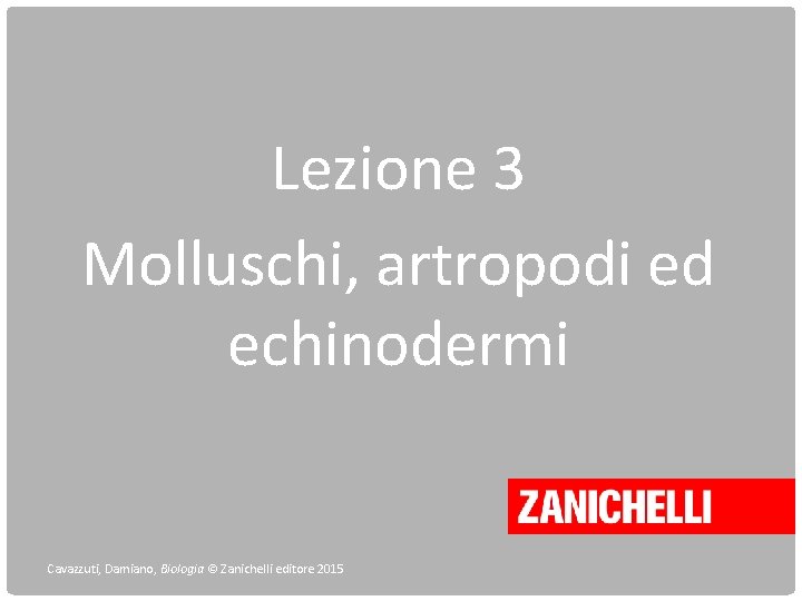 Lezione 3 Molluschi, artropodi ed echinodermi Cavazzuti, Damiano, Biologia © Zanichelli editore 2015 