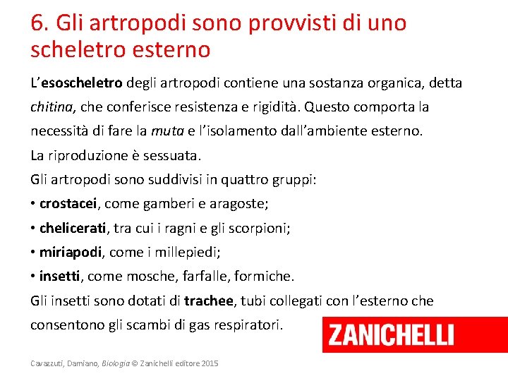 6. Gli artropodi sono provvisti di uno scheletro esterno L’esoscheletro degli artropodi contiene una
