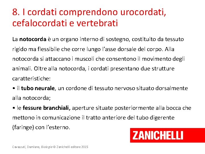 8. I cordati comprendono urocordati, cefalocordati e vertebrati La notocorda è un organo interno