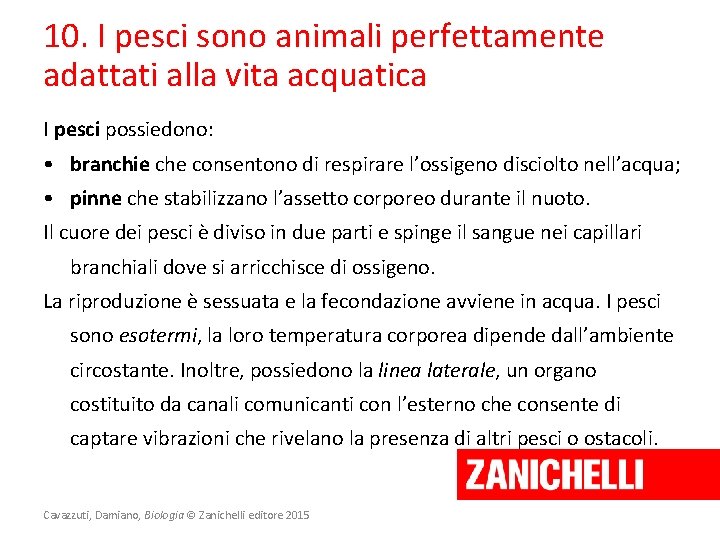 10. I pesci sono animali perfettamente adattati alla vita acquatica I pesci possiedono: •