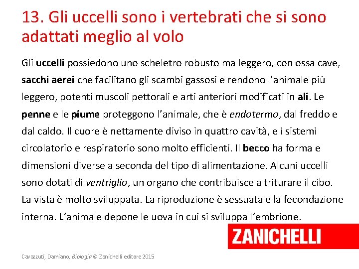 13. Gli uccelli sono i vertebrati che si sono adattati meglio al volo Gli