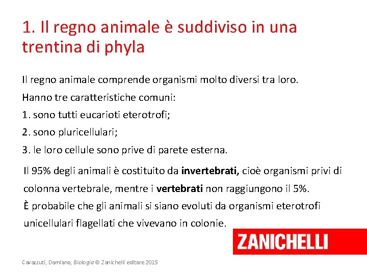 1. Il regno animale è suddiviso in una trentina di phyla Il regno animale