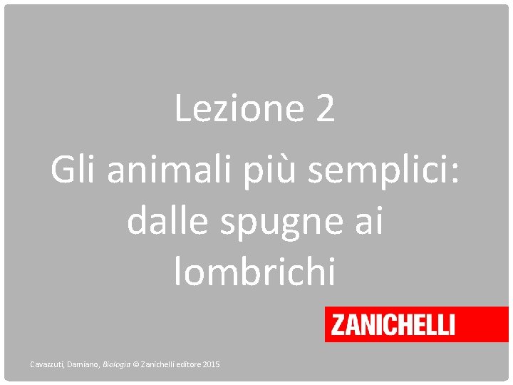 Lezione 2 Gli animali più semplici: dalle spugne ai lombrichi Cavazzuti, Damiano, Biologia ©