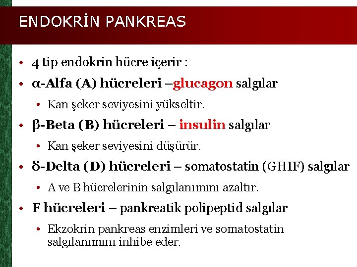 ENDOKRİN PANKREAS • 4 tip endokrin hücre içerir : • α-Alfa (A) hücreleri –glucagon