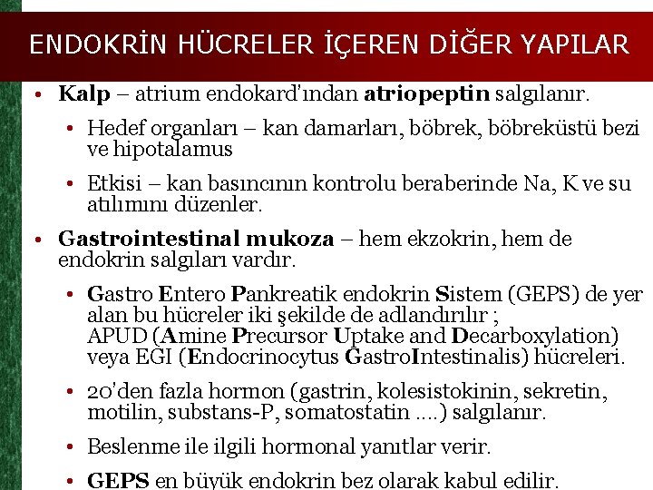 ENDOKRİN HÜCRELER İÇEREN DİĞER YAPILAR • Kalp – atrium endokard’ından atriopeptin salgılanır. • Hedef