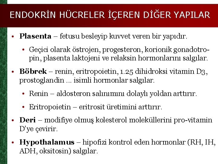 ENDOKRİN HÜCRELER İÇEREN DİĞER YAPILAR • Plasenta – fetusu besleyip kuvvet veren bir yapıdır.