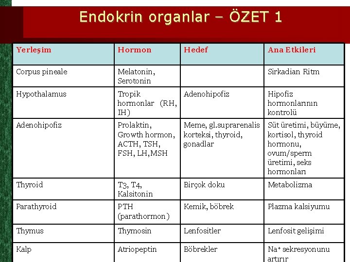 Endokrin organlar – ÖZET 1 Yerleşim Hormon Hedef Ana Etkileri Corpus pineale Melatonin, Serotonin