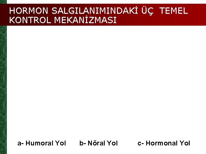 HORMON SALGILANIMINDAKİ ÜÇ TEMEL KONTROL MEKANİZMASI a- Humoral Yol b- Nöral Yol c- Hormonal