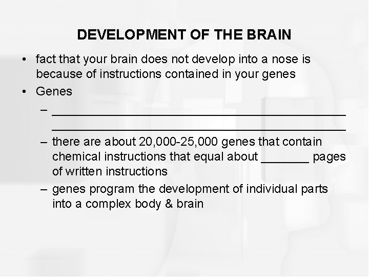 DEVELOPMENT OF THE BRAIN • fact that your brain does not develop into a