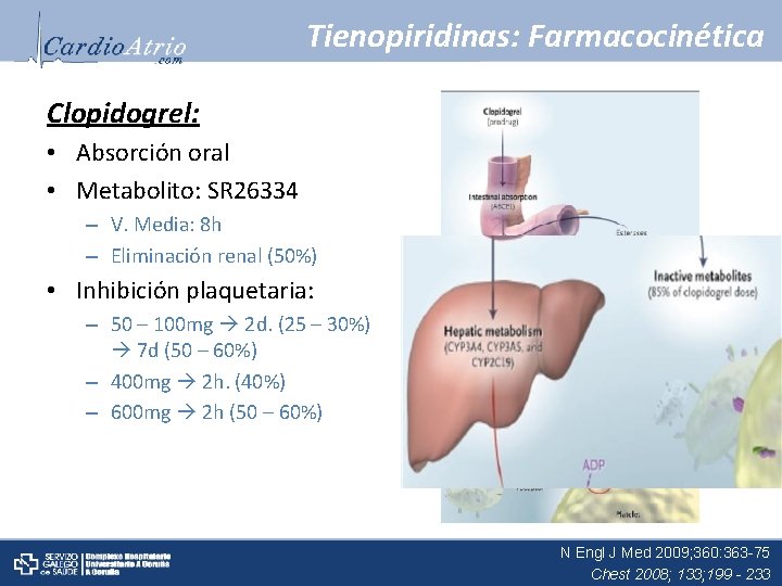 Tienopiridinas: Farmacocinética Clopidogrel: • Absorción oral • Metabolito: SR 26334 – V. Media: 8