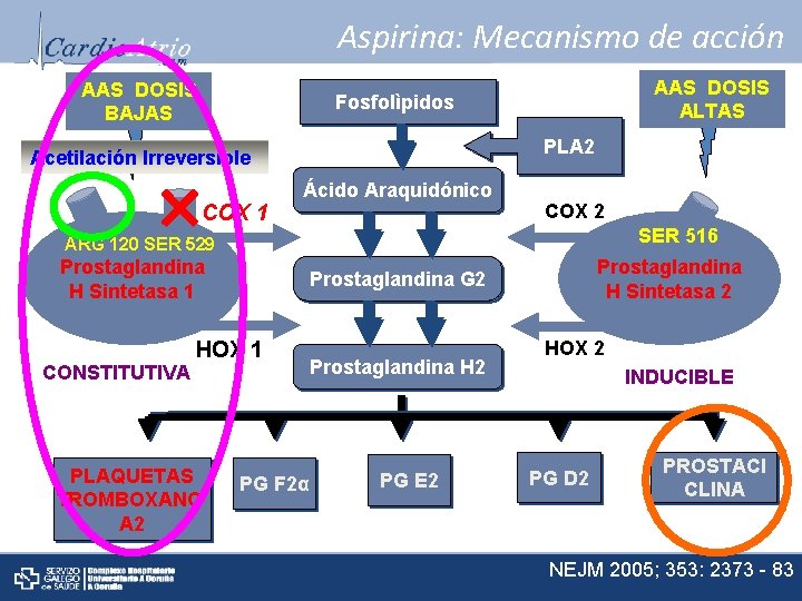 Aspirina: Mecanismo de acción AAS DOSIS BAJAS AAS DOSIS ALTAS Fosfolìpidos PLA 2 Acetilación