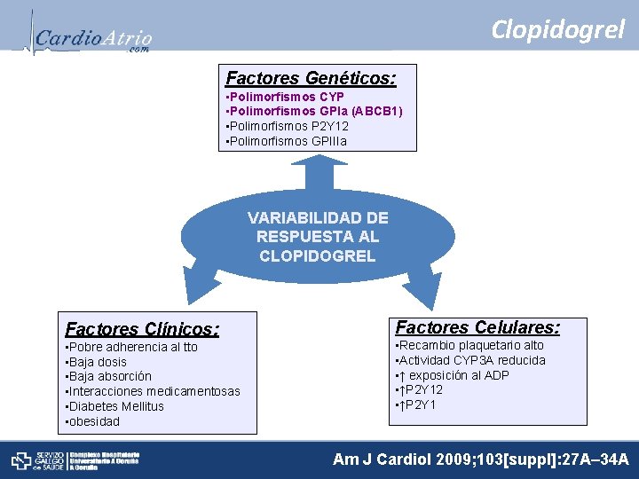 Clopidogrel Factores Genéticos: • Polimorfismos CYP • Polimorfismos GPIa (ABCB 1) • Polimorfismos P