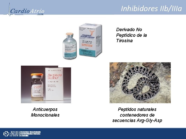 Inhibidores IIb/IIIa Derivado No Peptídico de la Tirosina Anticuerpos Monoclonales Peptidos naturales contenedores de
