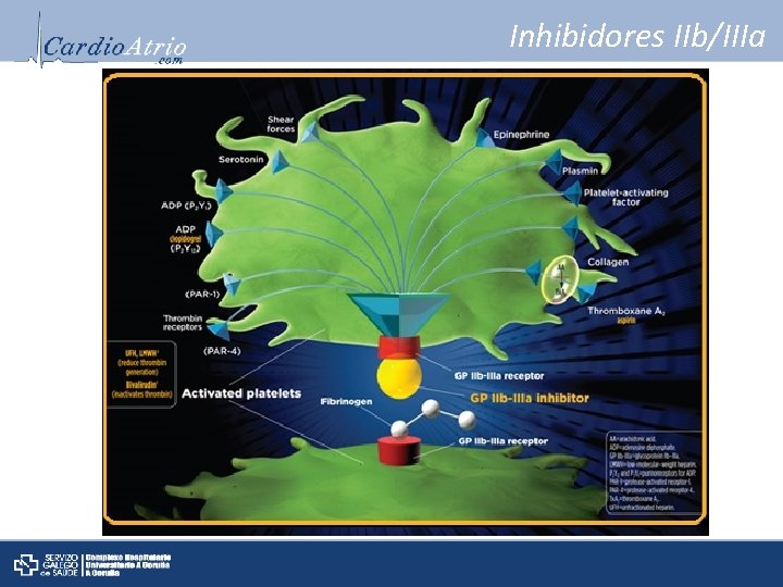 Inhibidores IIb/IIIa 