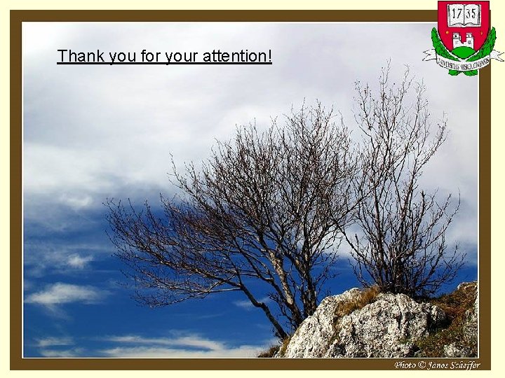 Thank you for your attention! 