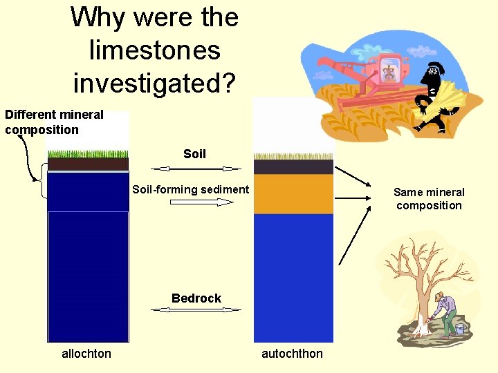 Why were the limestones investigated? Different mineral composition Soil-forming sediment Same mineral composition Bedrock