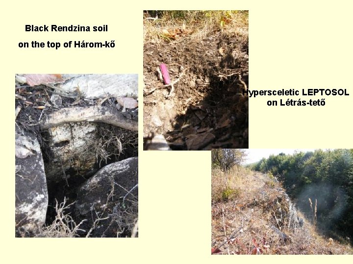Black Rendzina soil on the top of Három-kő Hypersceletic LEPTOSOL on Létrás-tető 