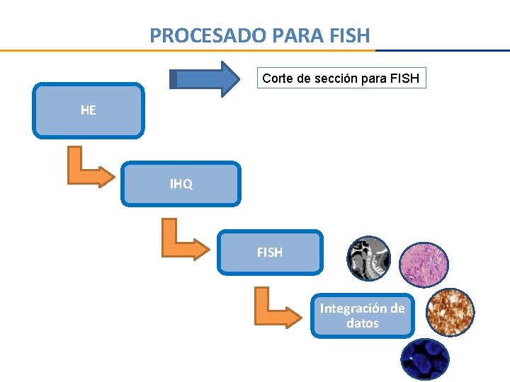 PROCESADO PARA FISH Corte de sección para FISH HE IHQ FISH Integración de datos