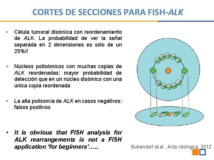 CORTES DE SECCIONES PARA FISH-ALK • Célula tumoral disómica con reordenamiento de ALK. La