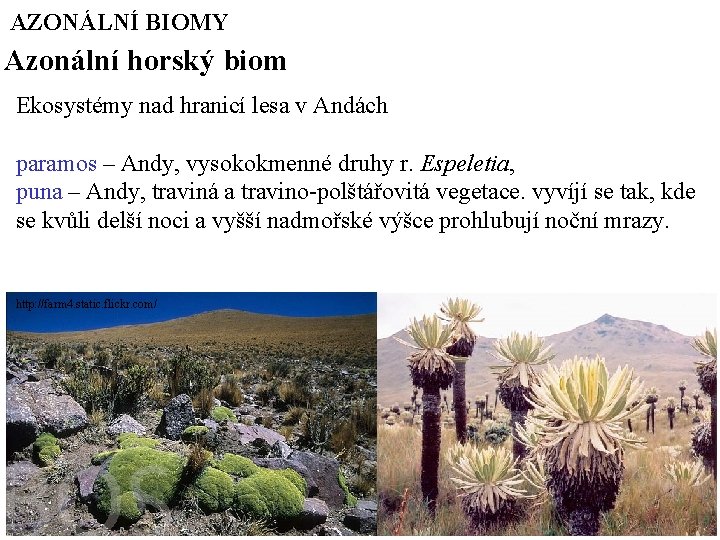 AZONÁLNÍ BIOMY Azonální horský biom Ekosystémy nad hranicí lesa v Andách paramos – Andy,