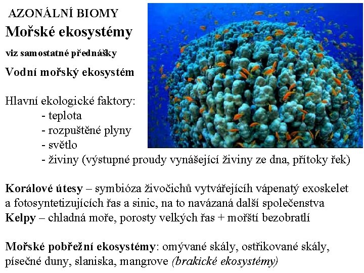 AZONÁLNÍ BIOMY Mořské ekosystémy viz samostatné přednášky Vodní mořský ekosystém Hlavní ekologické faktory: -