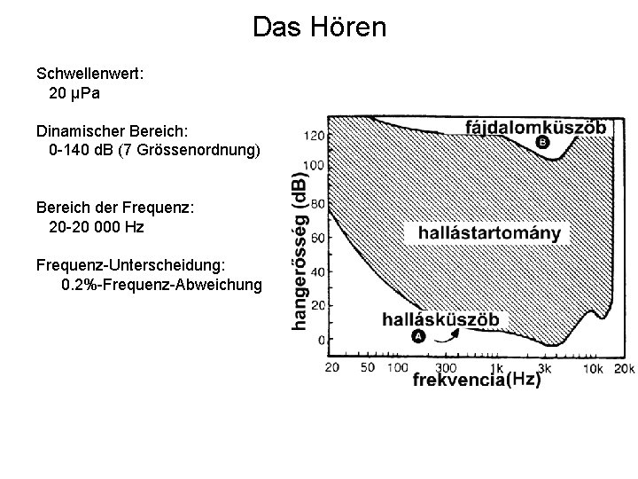 Das Hören Schwellenwert: 20 μPa Dinamischer Bereich: 0 -140 d. B (7 Grössenordnung) Bereich